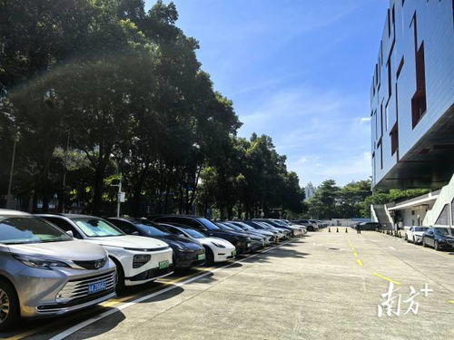 廣東省博物館回應(yīng)車庫(kù)禁停新能源車 基于消防安全要求，非歧視性政策