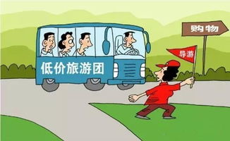 張家界奇幻山水全攻略 行程規(guī)劃、精華玩法與實用貼士